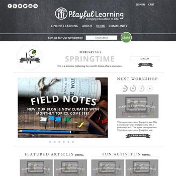 Playful Learning